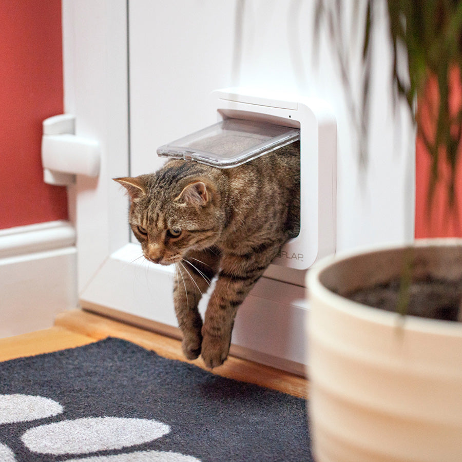 SureFlap Secure Microchip Cat Door – White Small